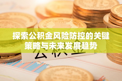 潭子探索公积金风险防控的关键策略与未来发展趋势