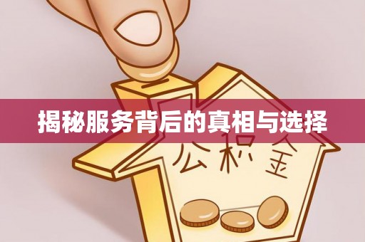 潭子揭秘服务背后的真相与选择