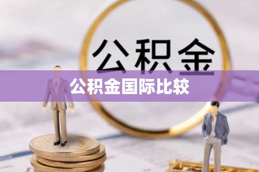 潭子公积金国际比较