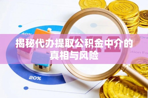 潭子揭秘代办提取公积金中介的真相与风险