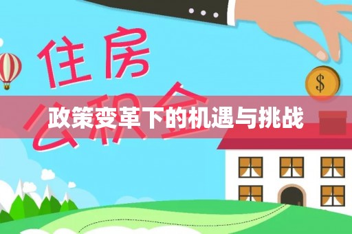 潭子政策变革下的机遇与挑战
