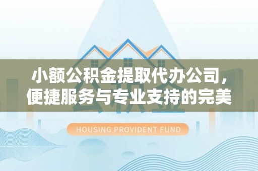 潭子小额公积金提取代办公司，便捷服务与专业支持的完美结合