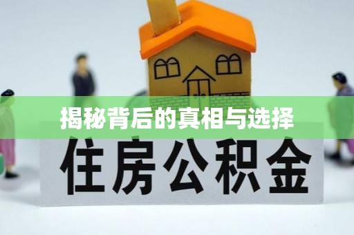 潭子揭秘背后的真相与选择