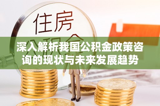 潭子深入解析我国公积金政策咨询的现状与未来发展趋势