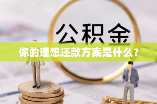 潭子你的理想还款方案是什么？